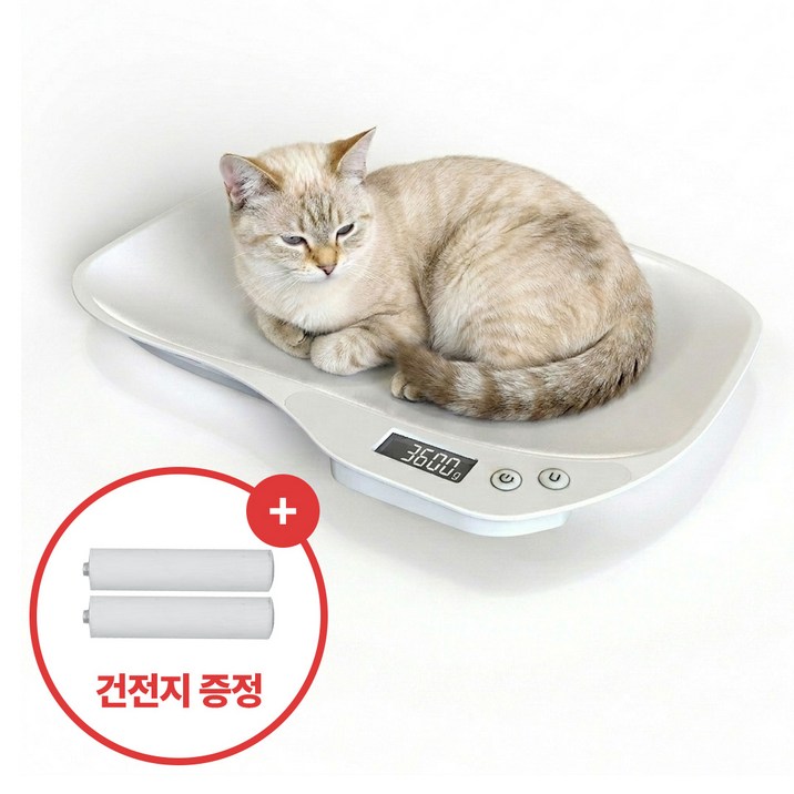 집똑똑이 강아지 고양이 미니 체중계 + 건전지