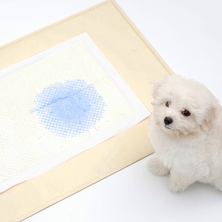 워글리 강아지 논슬립 배변매트, 베이지, 1개