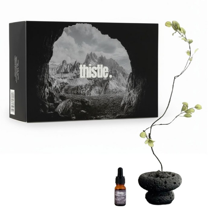 티슬 화분 스톤 디퓨저 화산석 아로마 오일 집들이 선물 세트 홈데코, 1개, 오드우드(톰포드향)