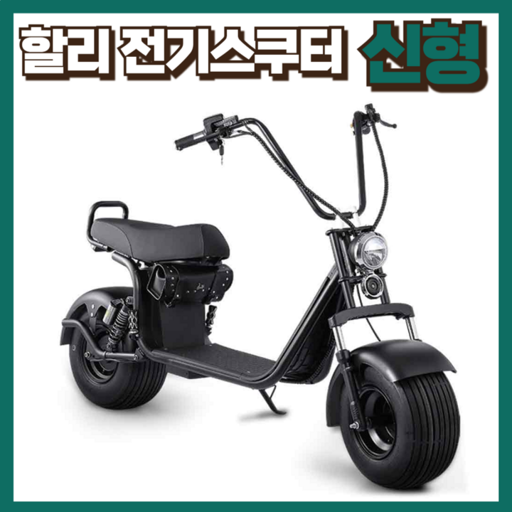 한울바람 할리 전기오토바이 스쿠터 바이크 취미 라이딩 충전 할리오토바이 고급 전동 간지