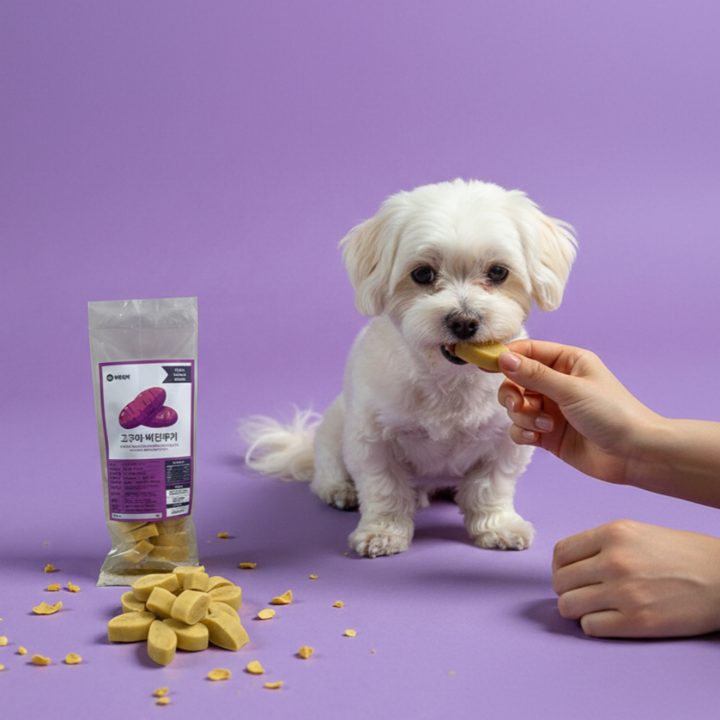 강아지 췌장염 요로결석 신부전 신장 당뇨 비건 간식