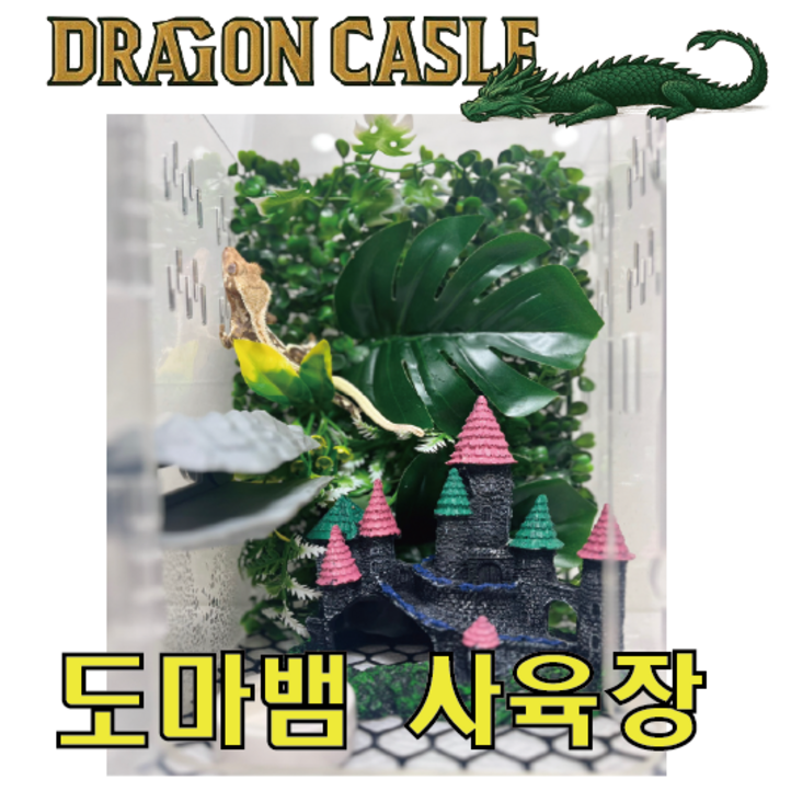 테라돔 드래곤캐슬 도마뱀 아크릴 사육장 세트 20x20x30cm