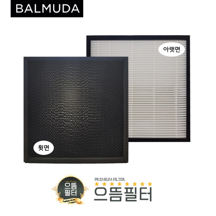 국내산 발뮤다 더 퓨어 A01BGR 청정기필터 THE PURE, 단품, 1개