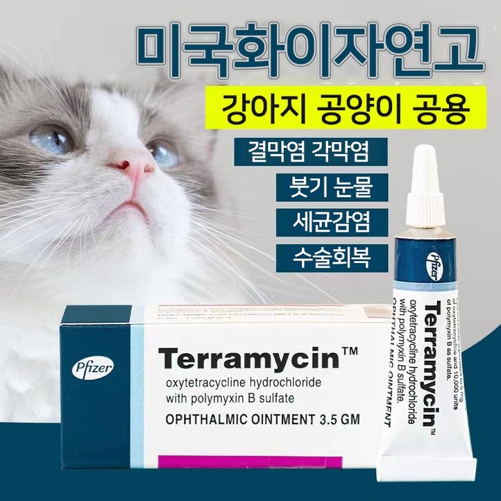 미국제 강아지 고양이 눈증 케어 YG1