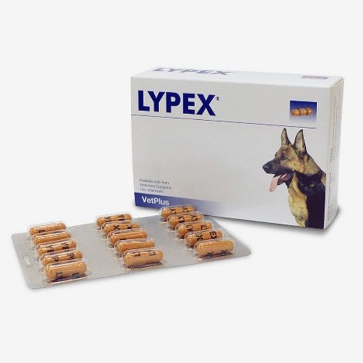 벳플러스 라이펙스 LYPEX 60캡슐, 단품, 단일상품