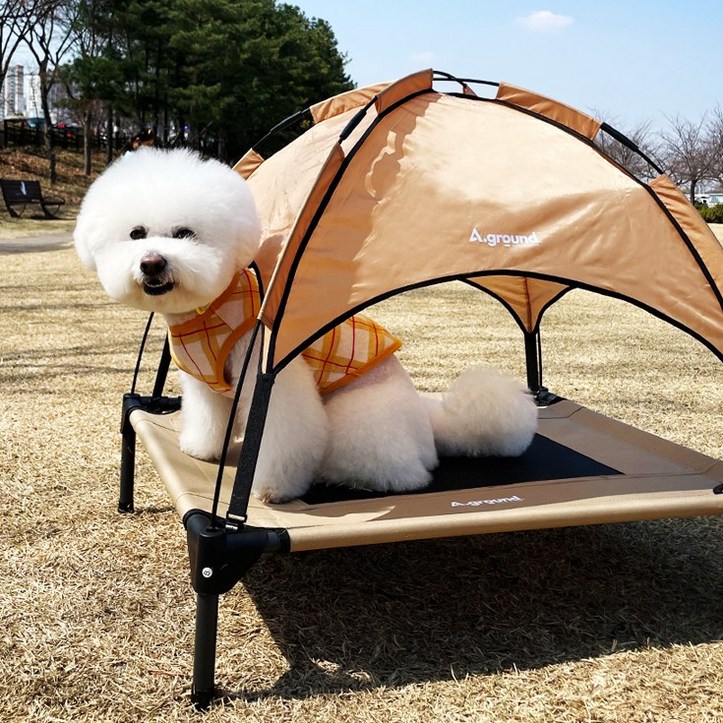 에이그라운드 베드독 강아지 고양이 애견 캠핑 용품 쇼파 침대 텐트 의자 소파, 블랙 6462959449
