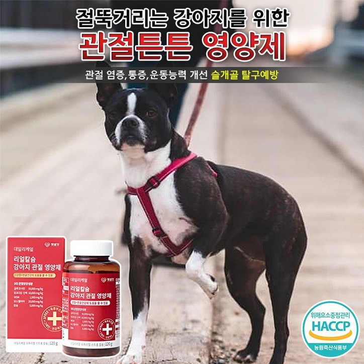 강아지를 위한 맛있는 관절연골 건강 칼슘 영양제 슬개골보호,염증완화,관절통증 감소 뼈가약한 노령견 필수 영양제, 반려견용 맛있는 관절연골 건강 칼슘 영양제 1개