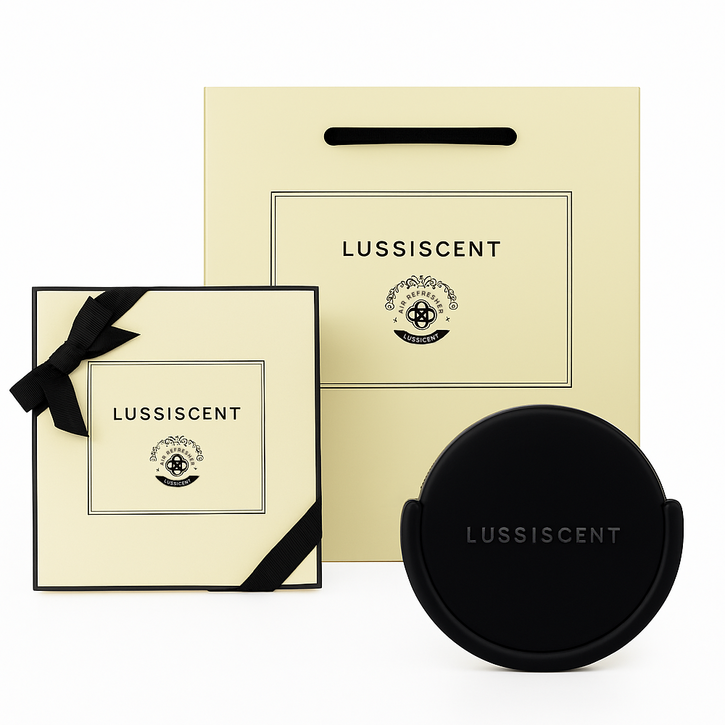 루시센트 투고 차량용 방향제 자동차 디퓨저, 다크 그레나딘, 1개