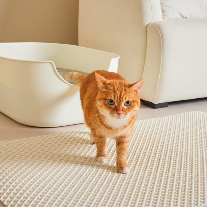 3651 이지클린 고양이 화장실 모래매트 특대형 - 쇼핑뉴스