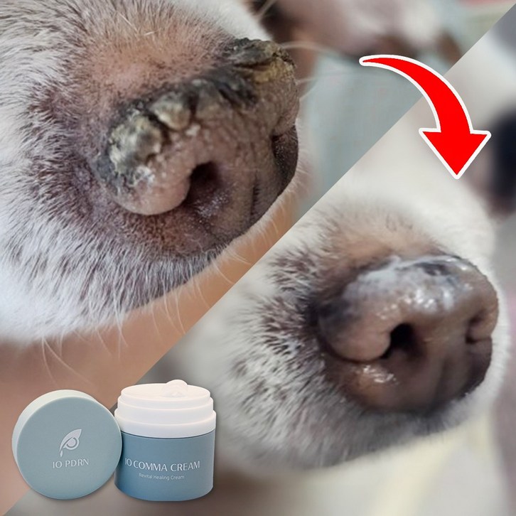 강아지 고양이 피부 발 보습제 밤 로션 습진 연고 코 건조 크림, 1개, 50ml 강아지 고양이 피부 발 보습제 밤 로션 습진 연고 코 건조 크림, 1개, 50ml