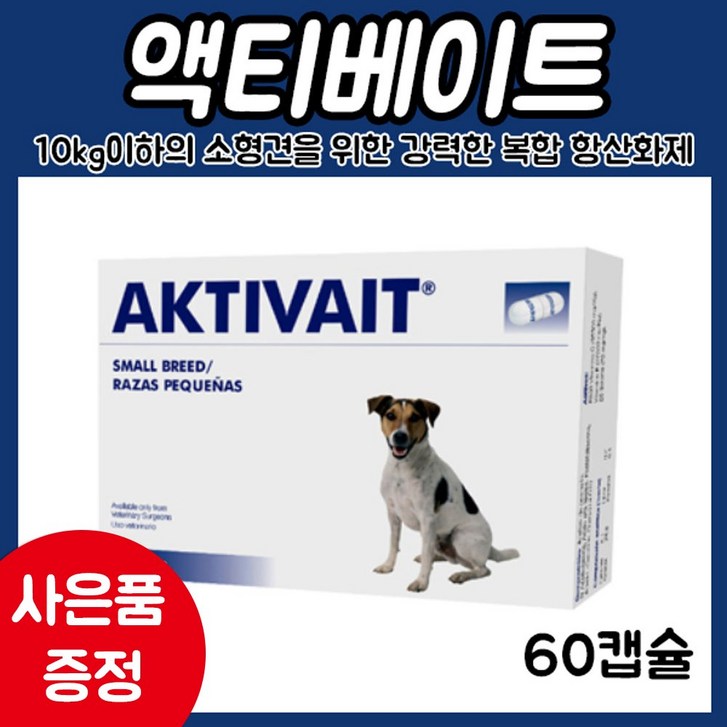 (사은품증정) 액티베이트 60캡슐 항산화영양제/인지력상승