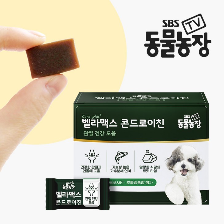 SBS TV 동물농장 콘드로이친 강아지 관절 슬개골 영양제