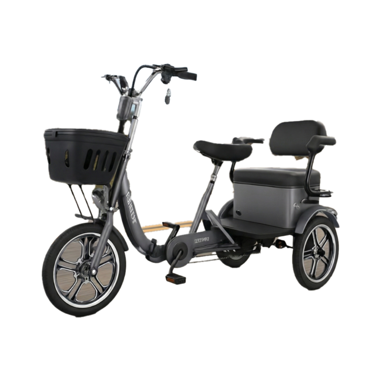 투게더바이크 세발전기자전거, 용량 30A, 투게더바이크