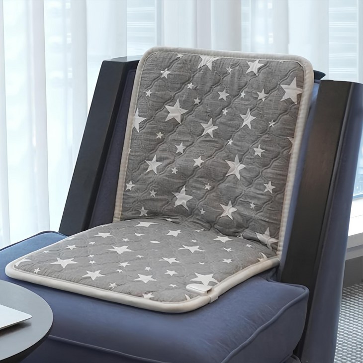 RM 워셔블 안심 전기방석 LCB201