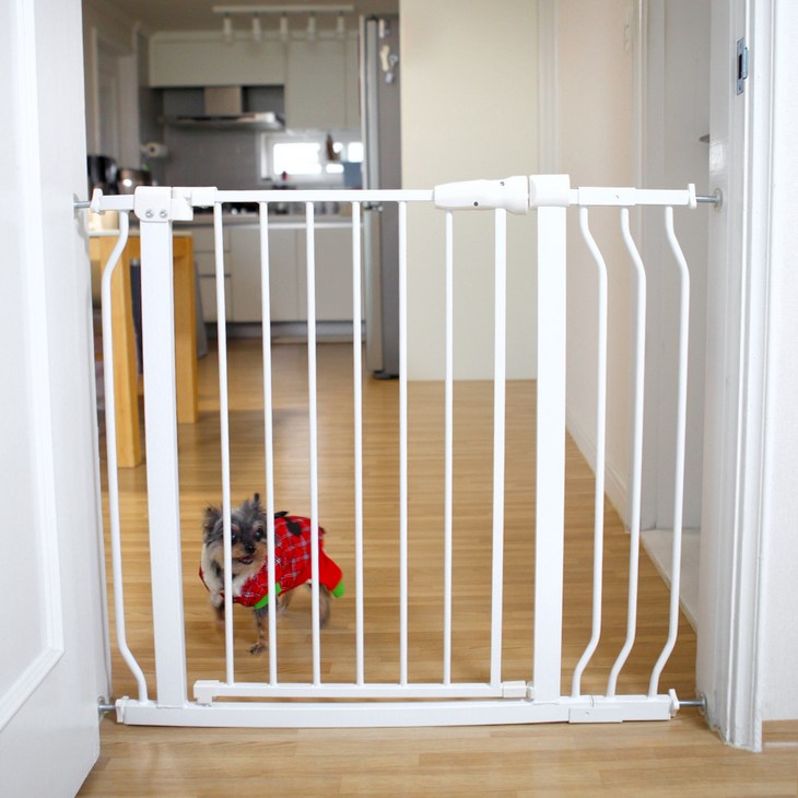 펫츄츄 반려동물 안전문 펜스 대형, 1개, 본품별도