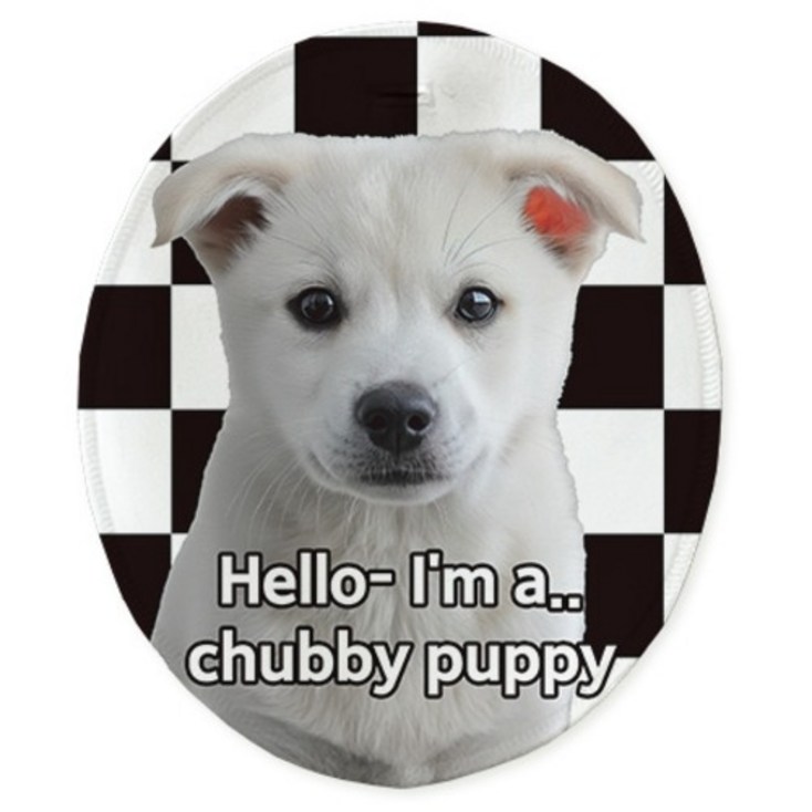 하이앤드라이 2구  4구 콘센트 커버 타원형 스위치 가리개