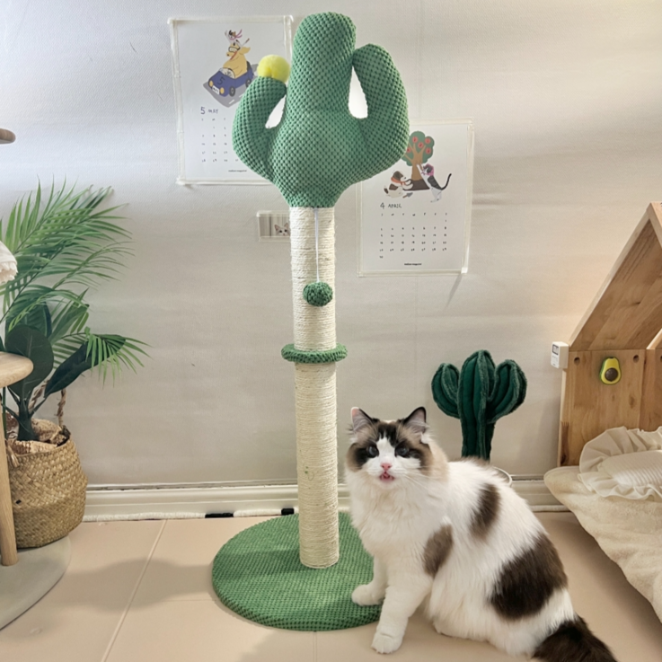 펫카 선인장 고양이 수직 스크래쳐 장난감 기둥형 100cm, 그린