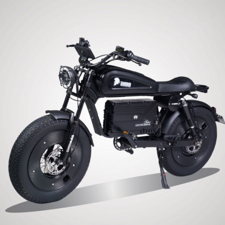 최신형 5.0타이어 전기자전거 팻바이크 자토바이 PAS 전동자전거 전기오토바이 1500W