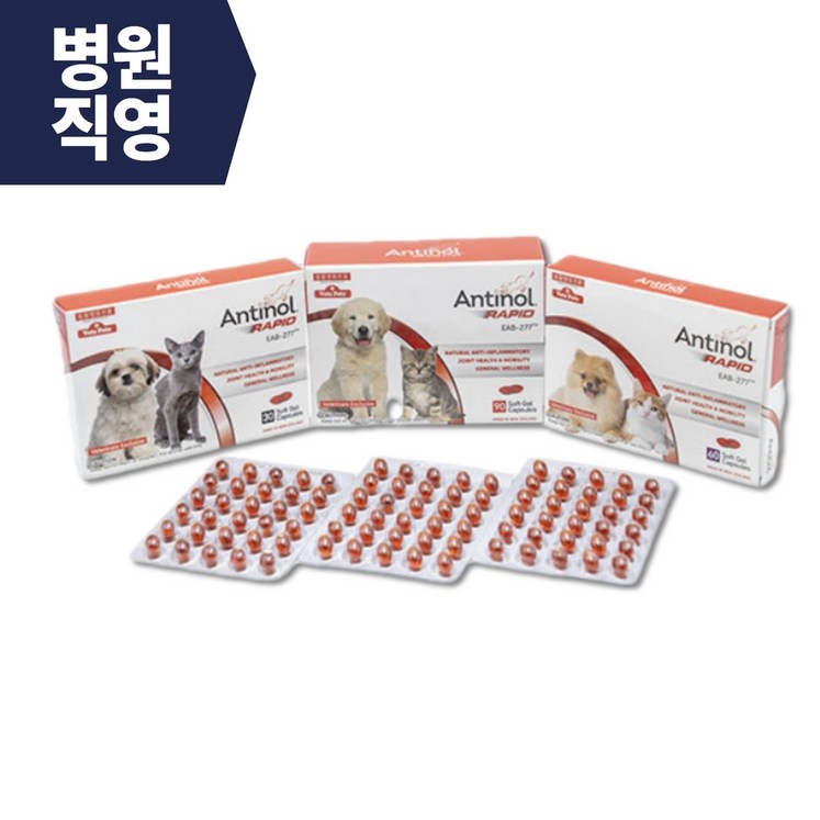 바이오라인 안티놀 래피드 천연 관절영양제 30캡슐60캡슐90캡슐