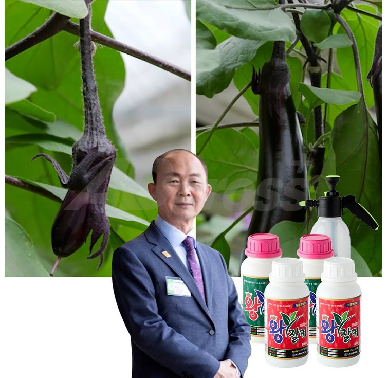 화초 영양제 식물박사 왕잘커 식물 영양제 김일호 영양싹 해충싹 다육이 과일 나무 소나무 병충해 관리, 4개, 500ml