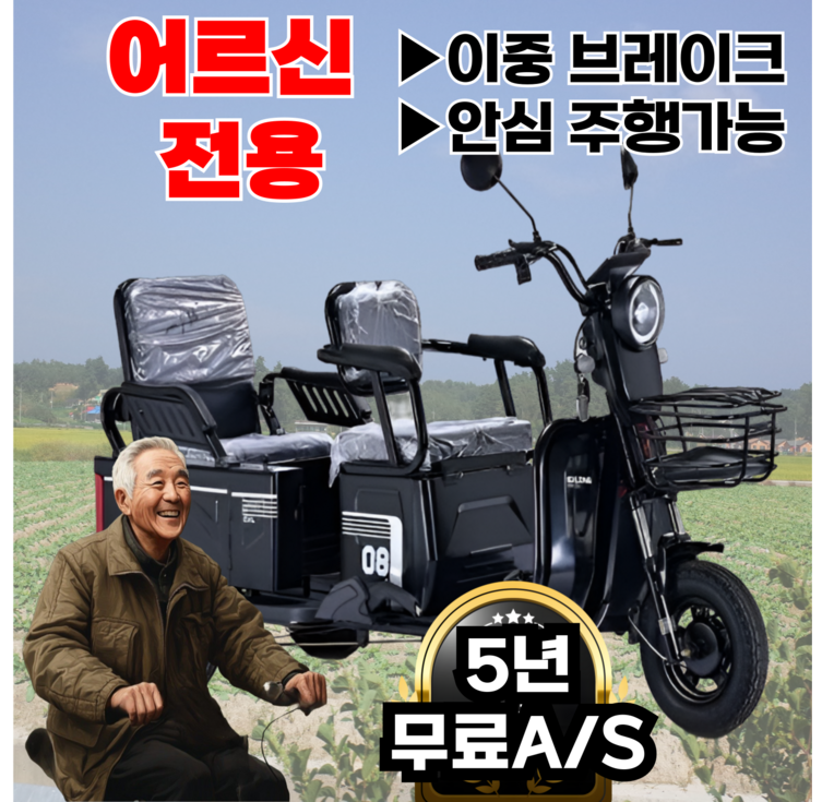 Ezybike 쉬운조작 세발전기자전거 어르신 전동 자토바이 출퇴근 스쿠터, 블랙, 스틸 Ezybike 쉬운조작 세발전기자전거 어르신 전동 자토바이 출퇴근 스쿠터, 블랙, 스틸