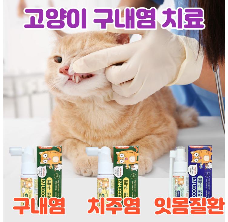고양이 구내염약 구내염 치주염 치은염 잇몸염증 바르는 젤 구강 영양제 고양이 구내염약 구내염 치주염 치은염 잇몸염증 바르는 젤 구강 영양제