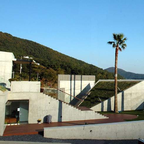 트로피칼드림