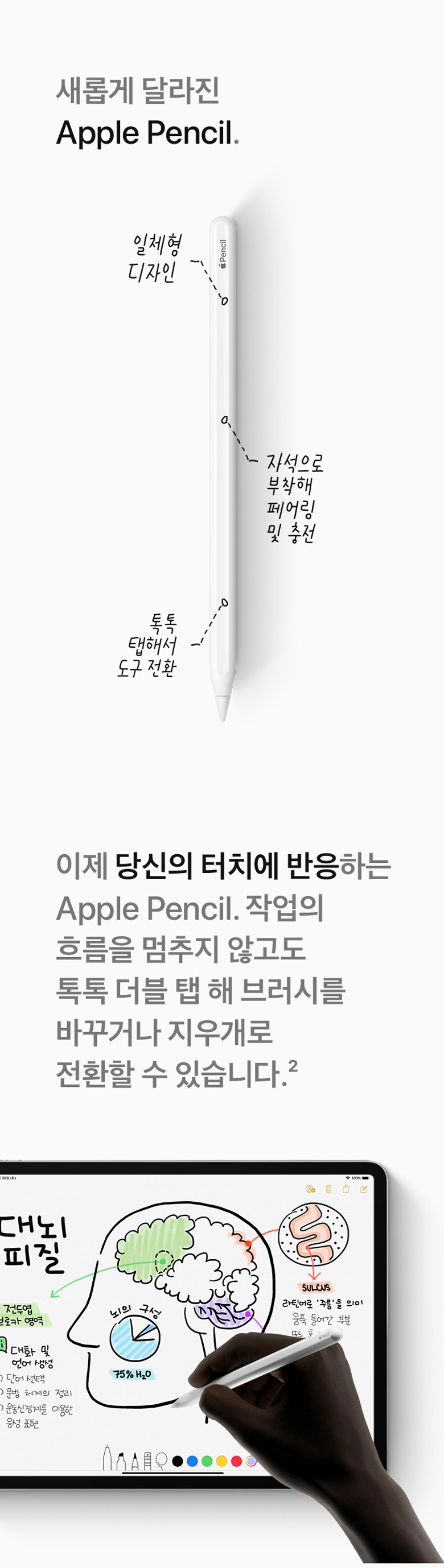 상품 설명 이미지